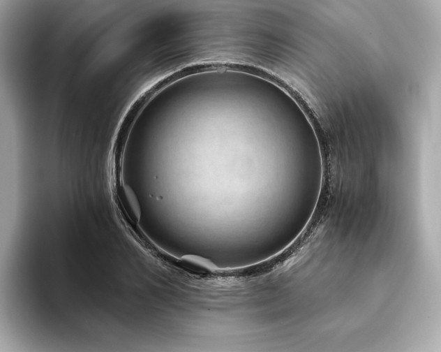 X0000094200982200710261148