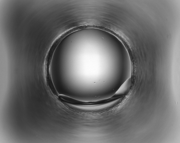X0000094200983200710261148