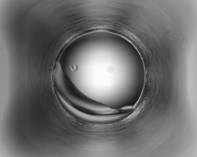 X0000094200985200710261148