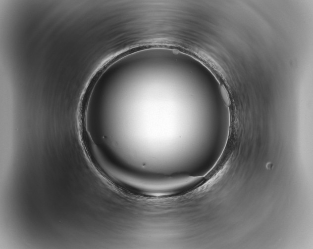 X0000094200989200710261148
