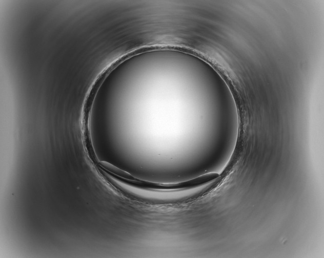 X0000094200990200710261148