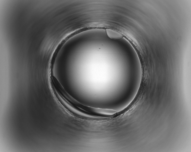 X0000094200992200710261148