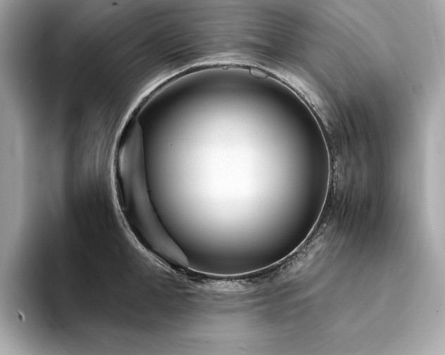 X0000094200998200710261148