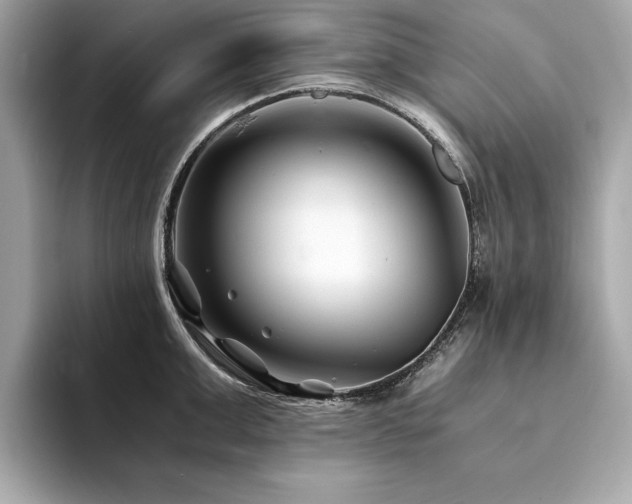 X0000094200999200710261148