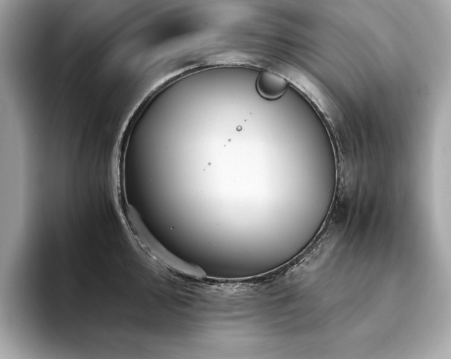 X0000094201000200710261148