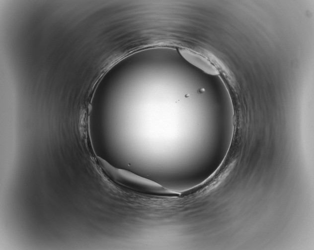 X0000094201001200710261148