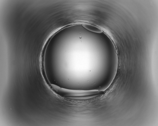 X0000094201003200710261148