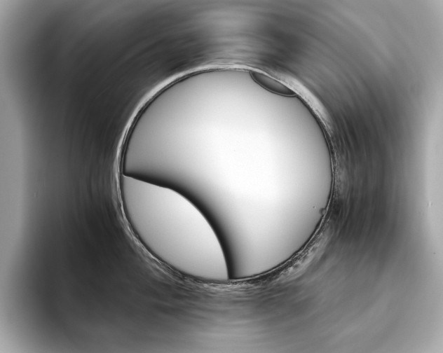 X0000094201004200710261148