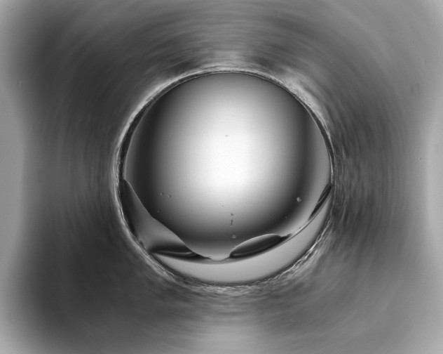 X0000094201005200710261148