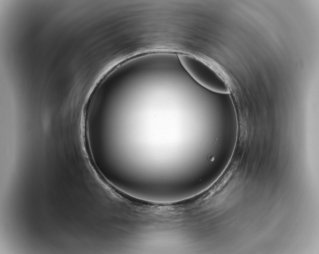 X0000094201006200710261148