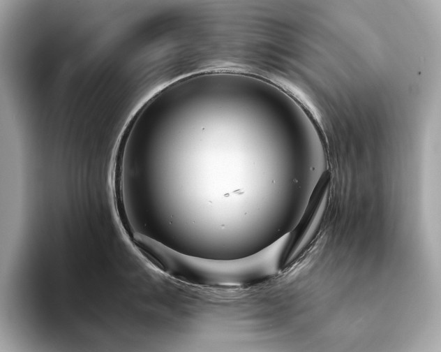 X0000094201007200710261148