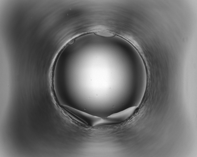 X0000094201008200710261148