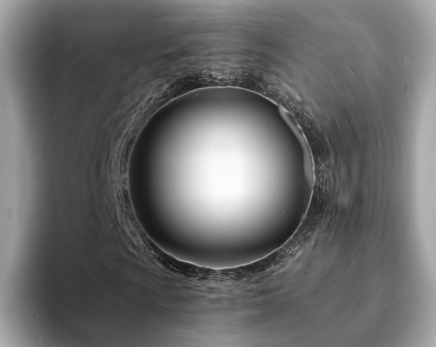 X0000094201009200710261147