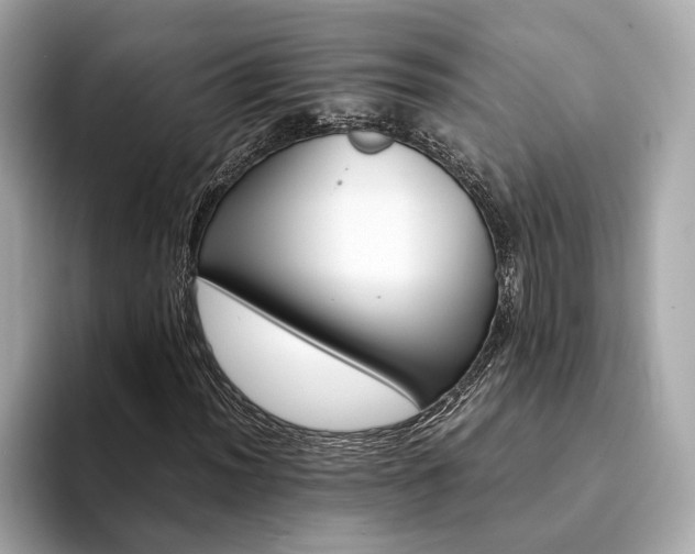 X0000094201012200710261147