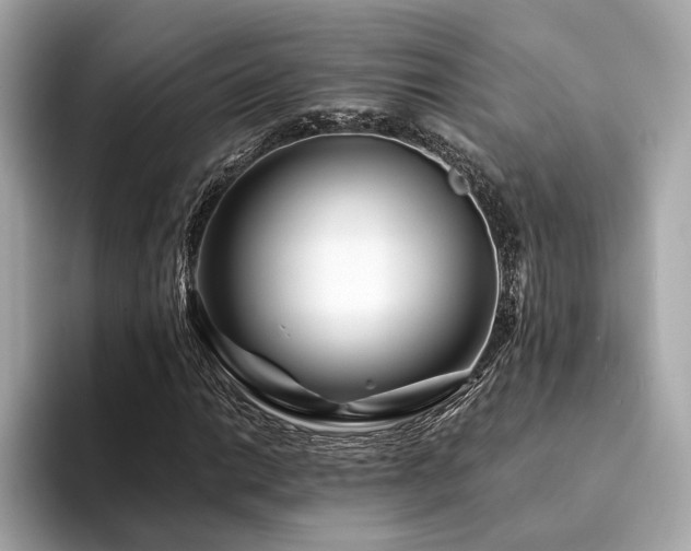 X0000094201014200710261147