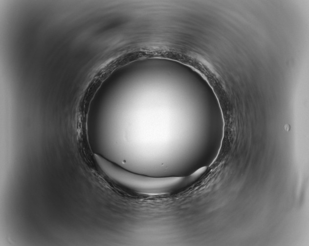 X0000094201016200710261147