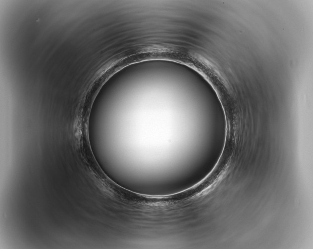 X0000094201017200710261147