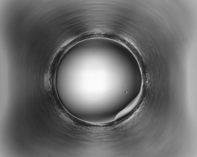 X0000094201018200710261147
