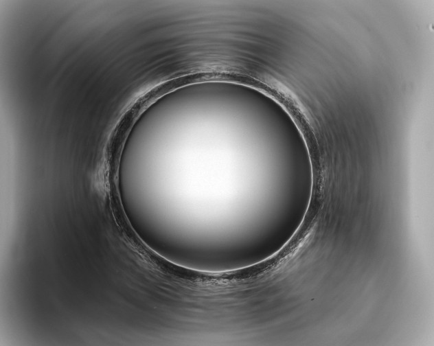 X0000094201019200710261147