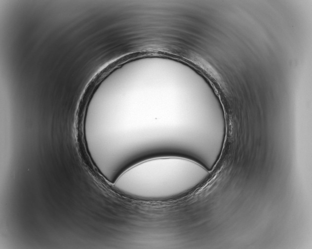 X0000094201020200710261147