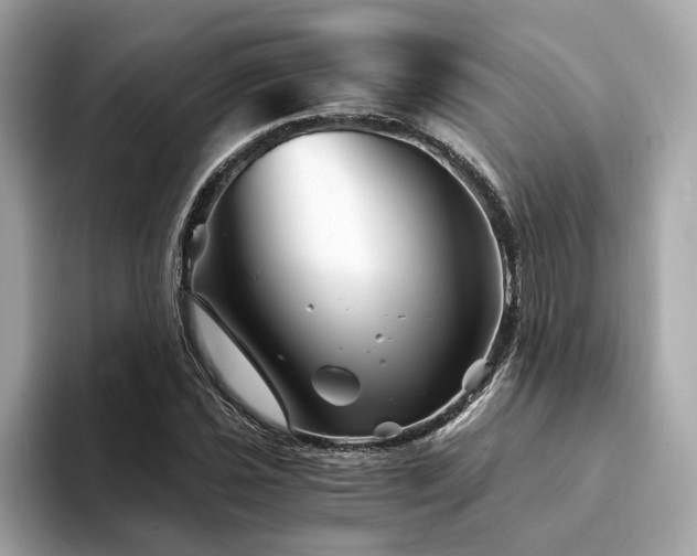 X0000094201021200710261147