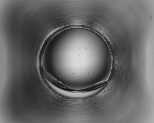 X0000094201024200710261148