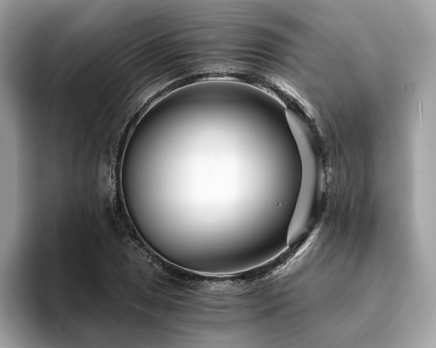X0000094201025200710261148