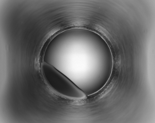 X0000094201026200710261148