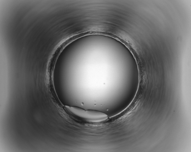 X0000094201027200710261148