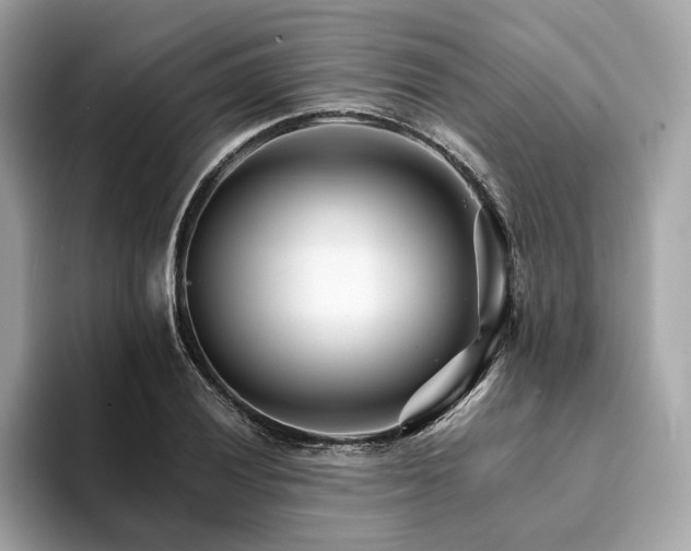 X0000094201028200710261148