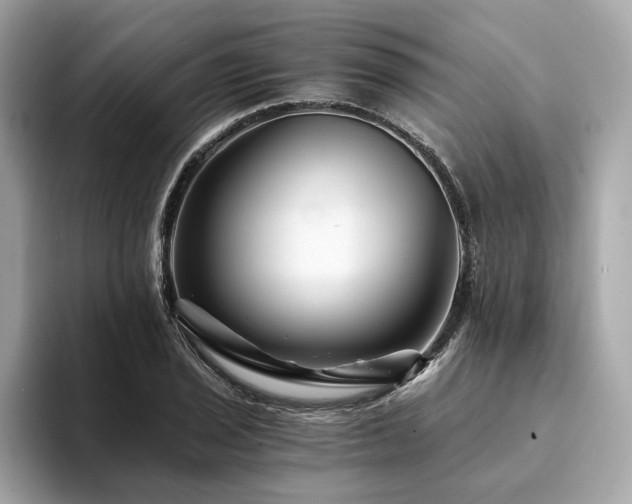 X0000094201029200710261148