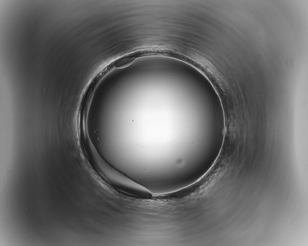 X0000094201030200710261148