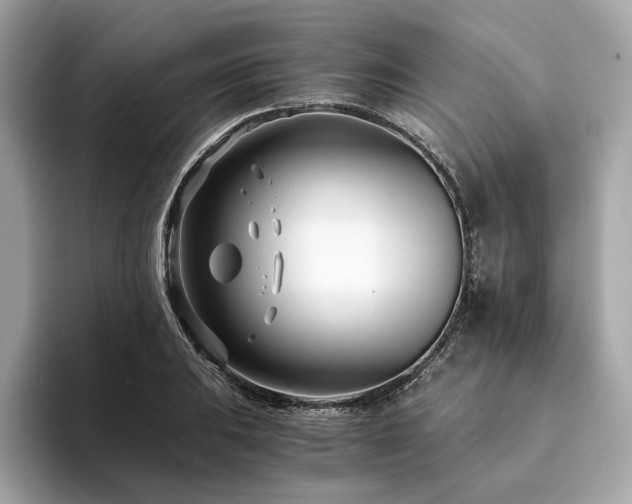 X0000094201031200710261148