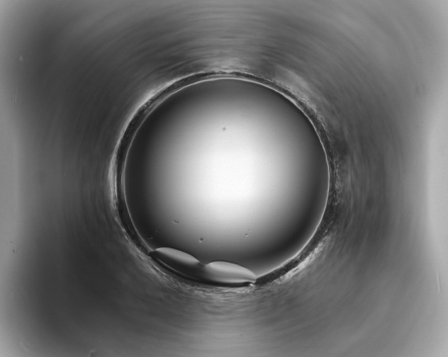 X0000094201032200710261148