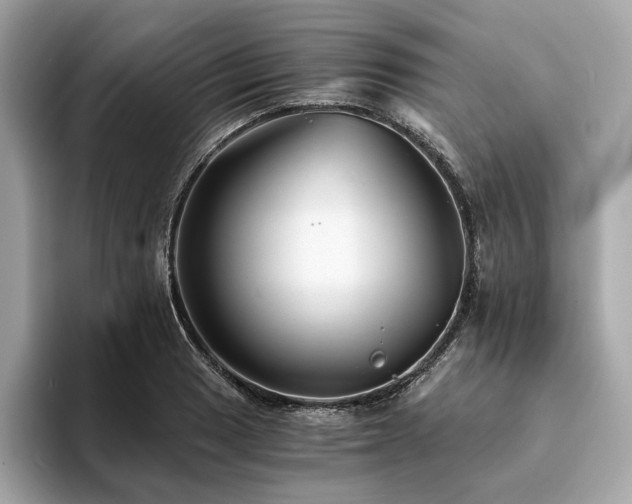 X0000094201033200710261148