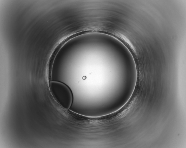 X0000094201035200710261148
