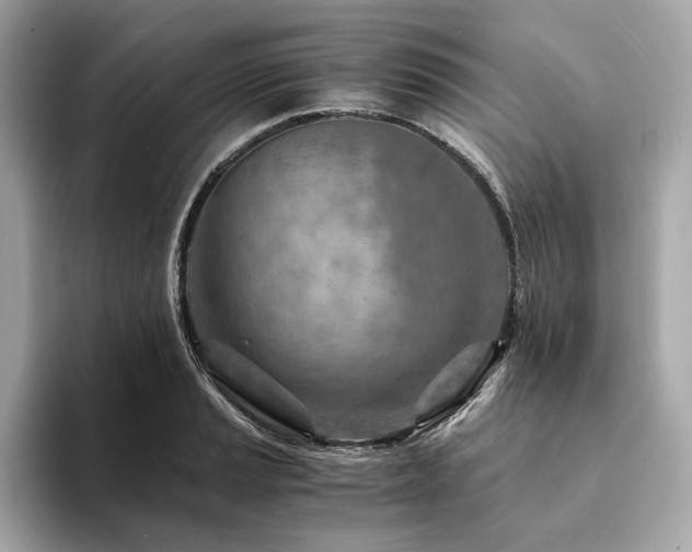 X0000094201037200710261148