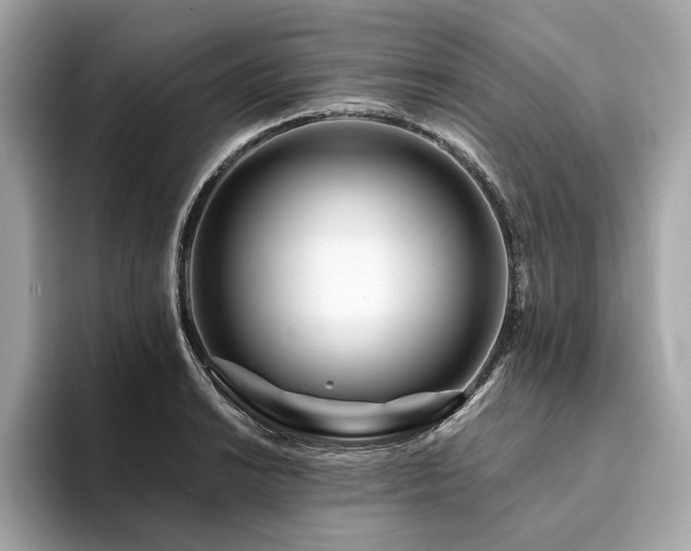 X0000094201038200710261148