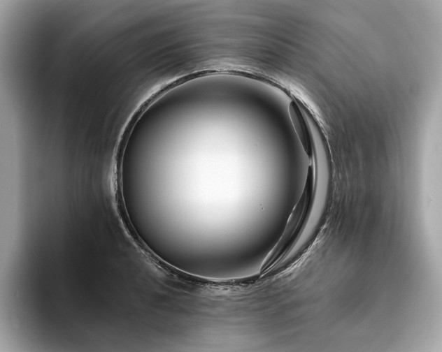 X0000094201040200710261148