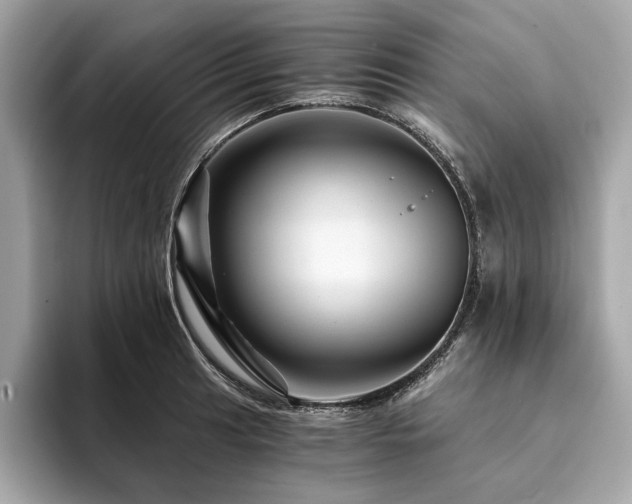 X0000094201041200710261148
