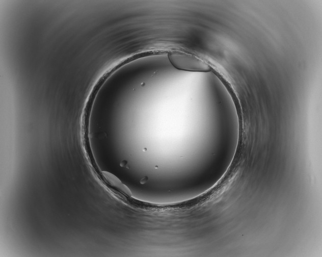 X0000094201045200710261148
