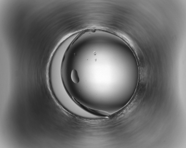 X0000094201048200710261148
