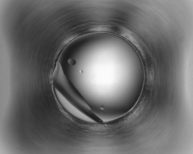 X0000094201049200710261148