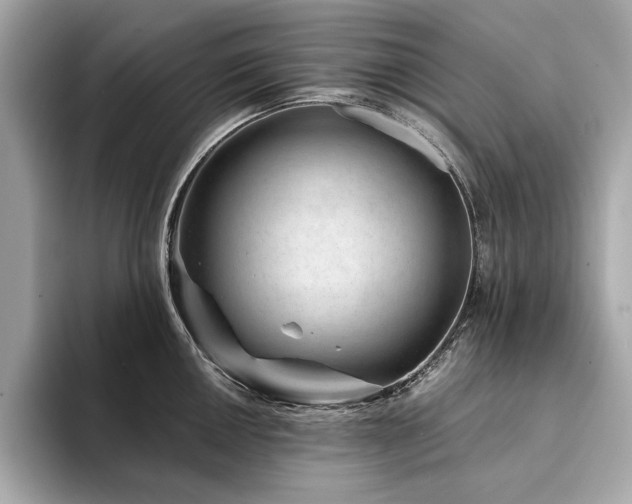 X0000094201050200710261148