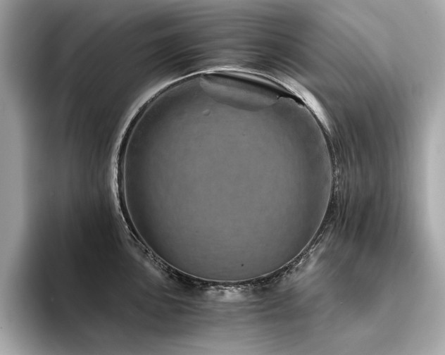 X0000094201051200710261148