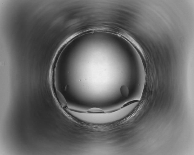 X0000094201053200710261148