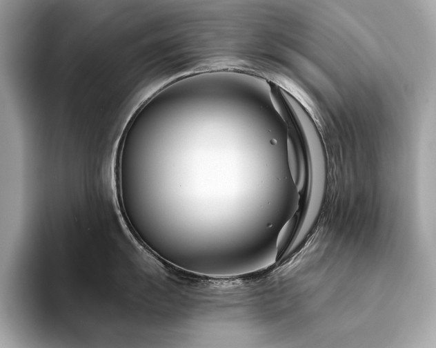 X0000094201055200710261148