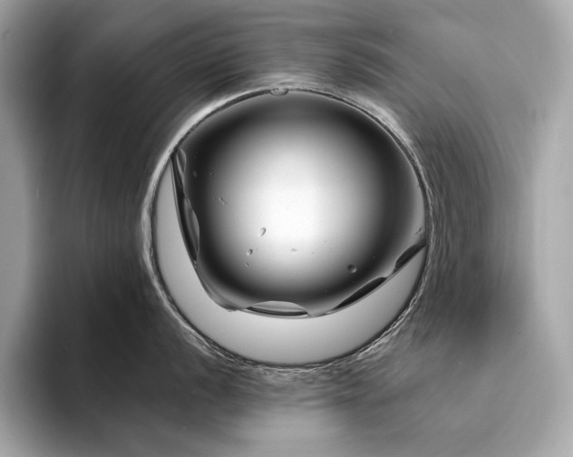 X0000094201056200710261148