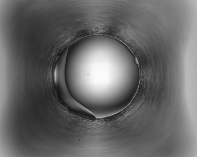 X0000094201058200710261147