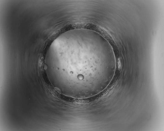 X0000094201059200710261147